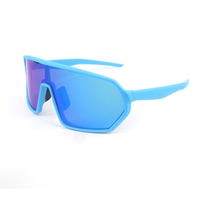 PC Frame Sunglasses