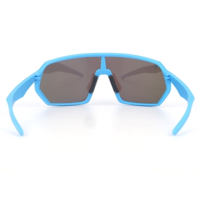 PC Frame Sunglasses