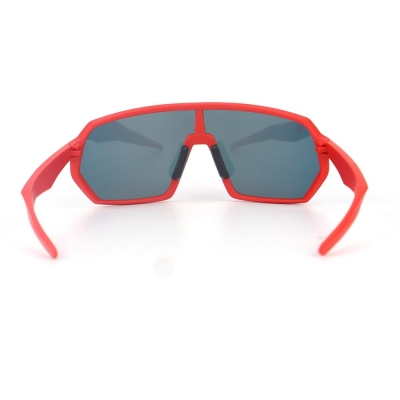 PC Frame Sunglasses