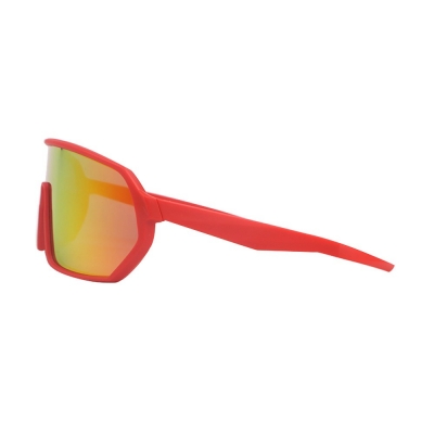PC Frame Sunglasses