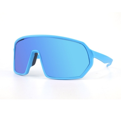 PC Frame Sunglasses