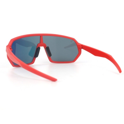 PC Frame Sunglasses