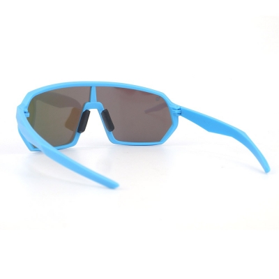 PC Frame Sunglasses