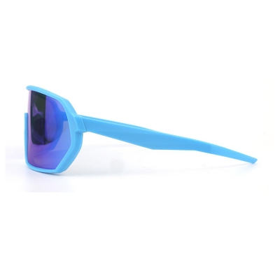 PC Frame Sunglasses