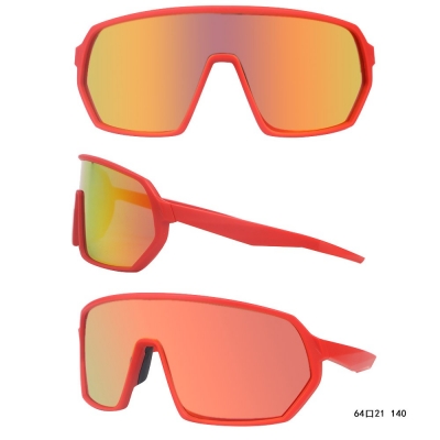 PC Frame Sunglasses