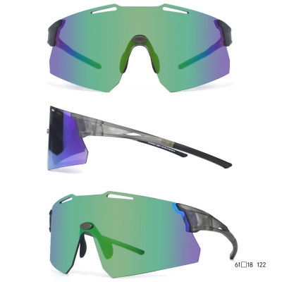 PC Frame Sunglasses