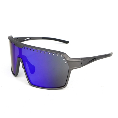 PC Frame Sunglasses