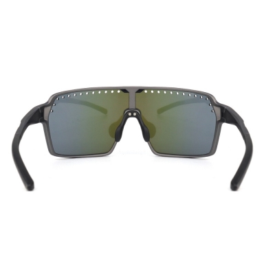 PC Frame Sunglasses
