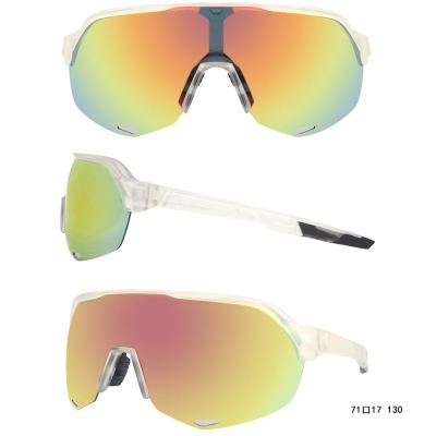 PC Frame Sunglasses