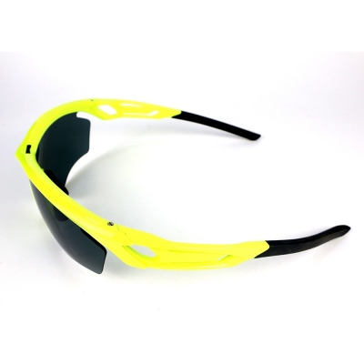 PC Frame Sunglasses