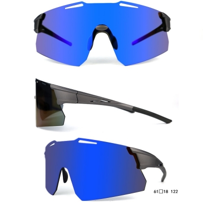 PC Frame Sunglasses