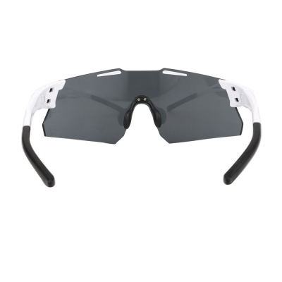 PC Frame Sunglasses