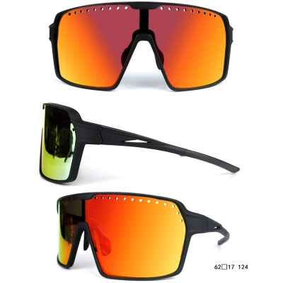 PC Frame Sunglasses