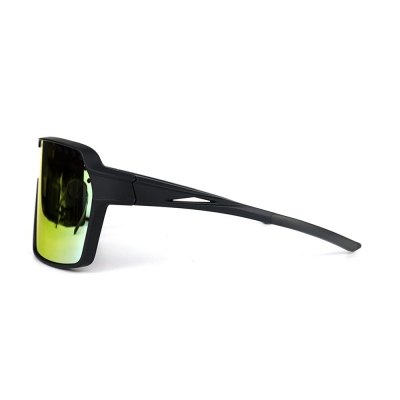 PC Frame Sunglasses