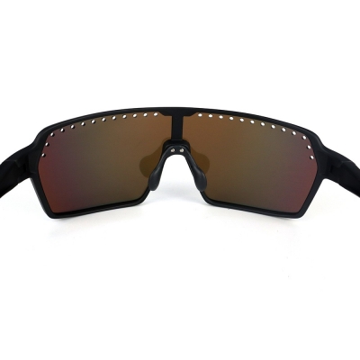 PC Frame Sunglasses