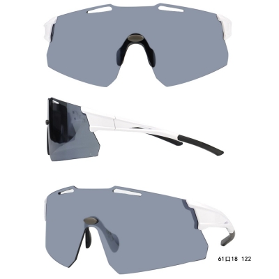 PC Frame Sunglasses