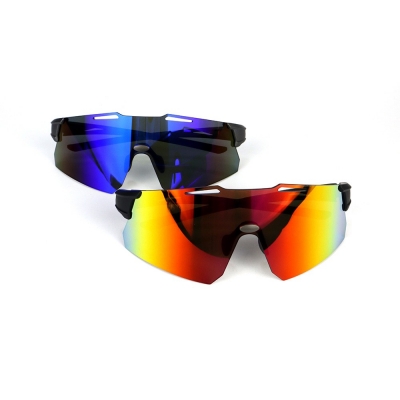 PC Frame Sunglasses