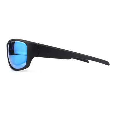 PC Frame Sunglasses