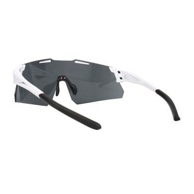PC Frame Sunglasses