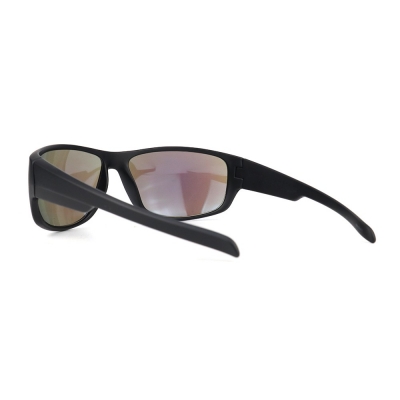 PC Frame Sunglasses