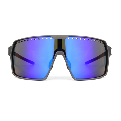 PC Frame Sunglasses