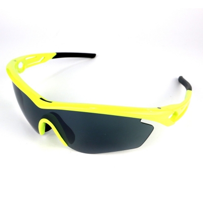 PC Frame Sunglasses