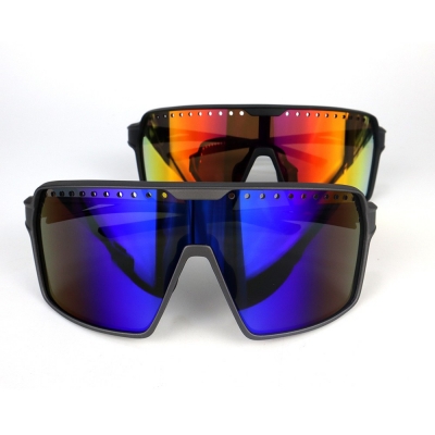 PC Frame Sunglasses