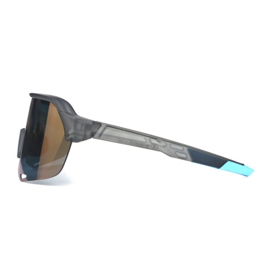 PC Frame Sunglasses