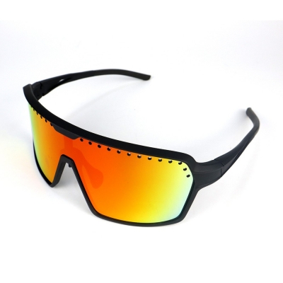PC Frame Sunglasses