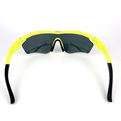 PC Frame Sunglasses