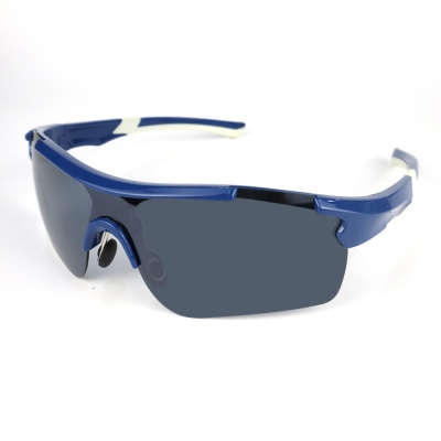 PC Frame Sunglasses