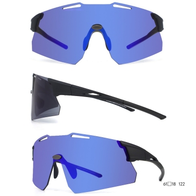 PC Frame Sunglasses