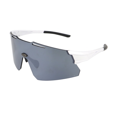 PC Frame Sunglasses