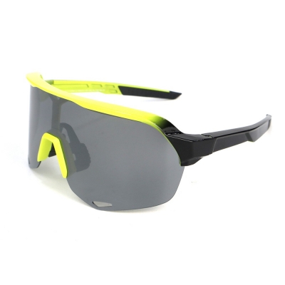 PC Frame Sunglasses