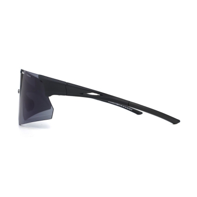 PC Frame Sunglasses