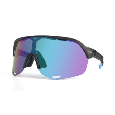 PC Frame Sunglasses