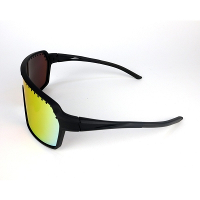 PC Frame Sunglasses