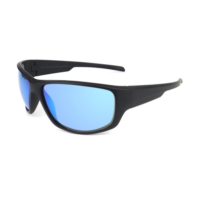 PC Frame Sunglasses