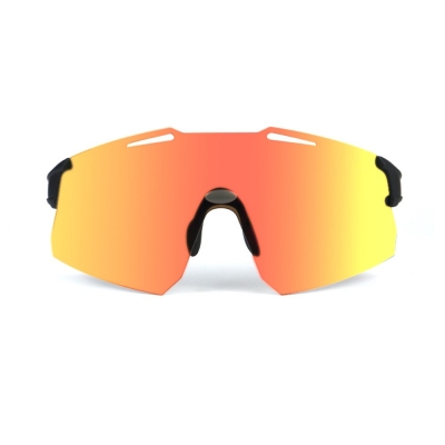 PC Frame Sunglasses