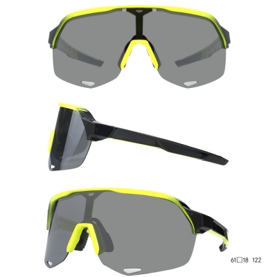 PC Frame Sunglasses