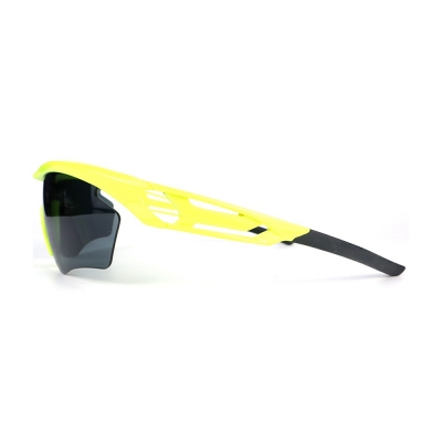 PC Frame Sunglasses