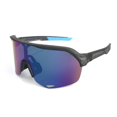 PC Frame Sunglasses