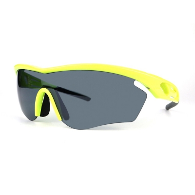 PC Frame Sunglasses
