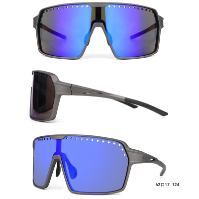 PC Frame Sunglasses