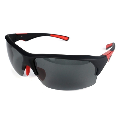 PC Frame Sunglasses