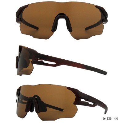 PC Frame Sunglasses