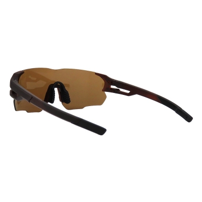 PC Frame Sunglasses