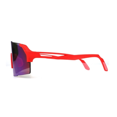 PC Frame Sunglasses