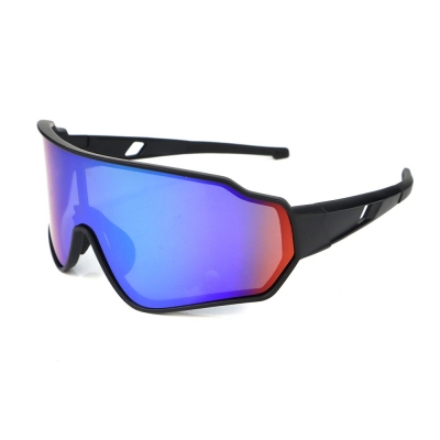 PC Frame Sunglasses