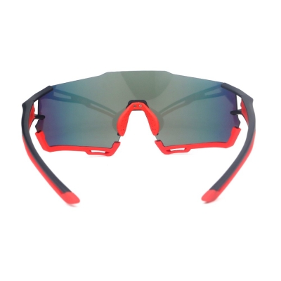 PC Frame Sunglasses